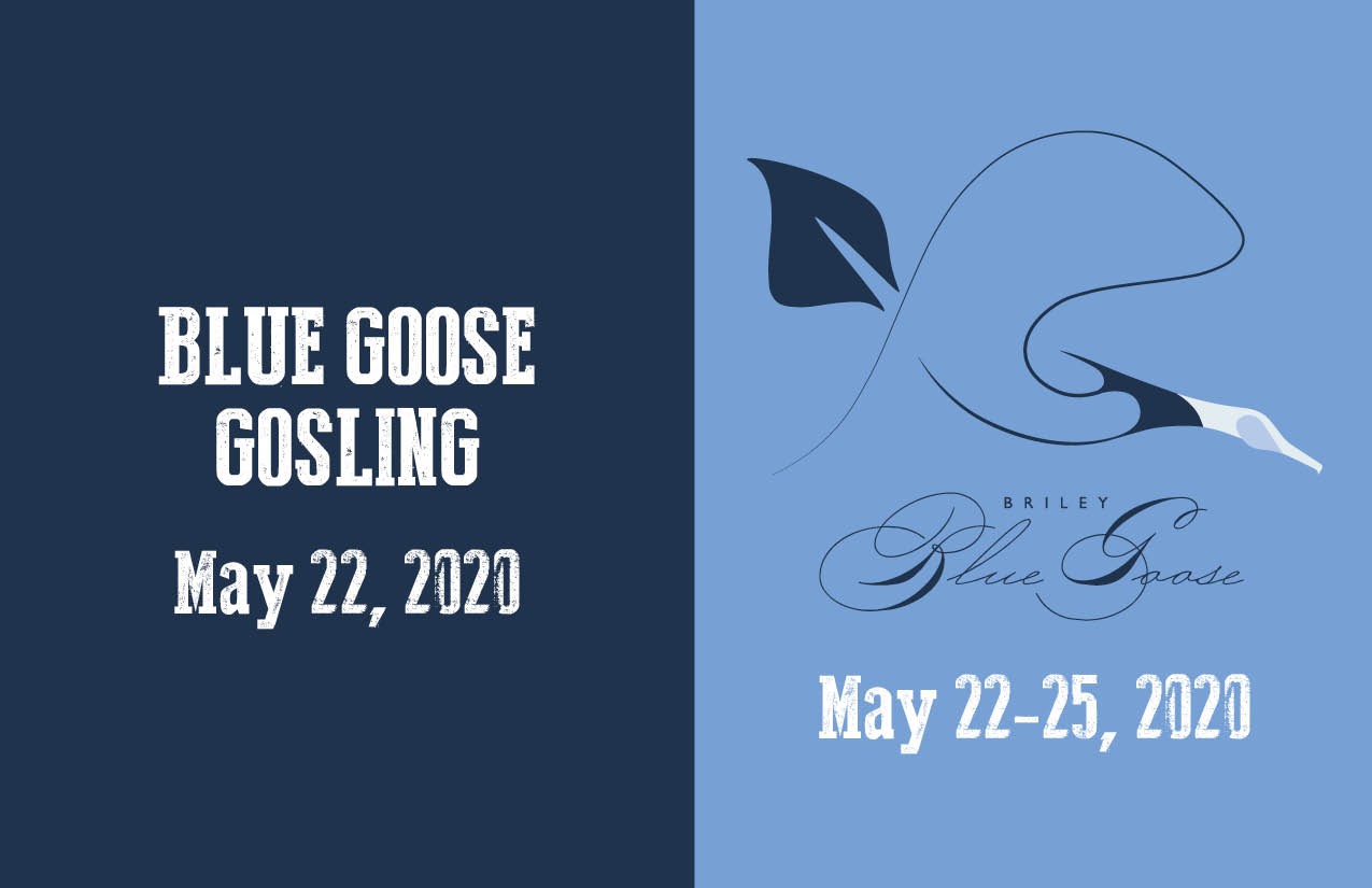 2019 Greater Houston Sports Club Briley Blue Goose image